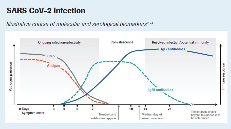 SARS CoV-2 Infection graph